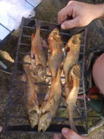 30072012657.webp