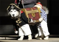 283e5e5cc377.webp