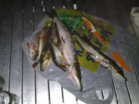 20120730_014830.webp