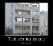 134451044991438.webp
