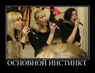 getImage (20).webp