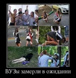 134491360411773.webp