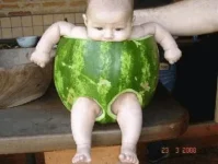 untitled2.webp