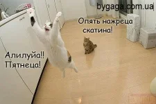 1326455937_894031_50044.webp