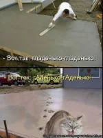 Смех.webp