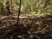 DSCN2840_1.webp