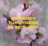 722298309.webp