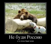 Россия.webp