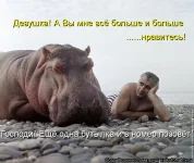 kotomatrix1405.webp
