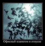 getImage (16).webp