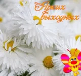 ярких выхлдных.webp