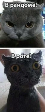 1344181819_je7yruw16rm.webp