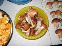 DSCN2927_1.webp