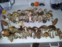 20120826_190046.webp