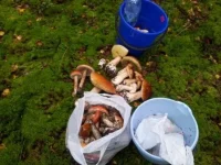 20120828_095110.webp