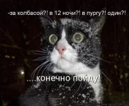d.webp