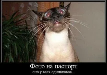 ко.webp