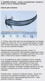 134629642455483.webp