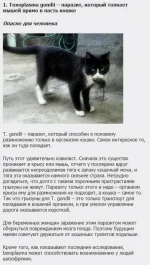 134629645161582.webp