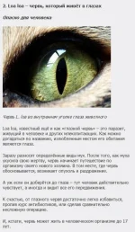 134629645882453.webp