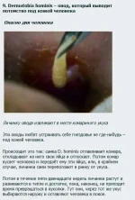 134629646789991.webp