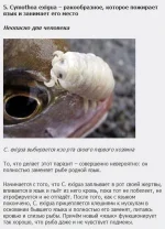 134629649597372.webp