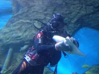 фыафыпыр.webp