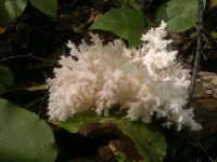 2012-08-30-032.webp