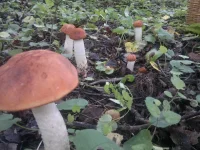 2012-08-30-035_1.webp