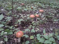 2012-08-31-047.webp