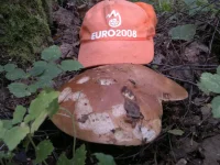 2012-08-31-058.webp