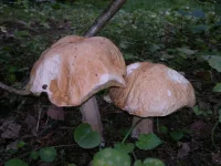 2012-08-31-059.webp