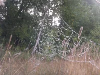 2012-09-05-069.webp