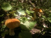 2012-09-05-076.webp