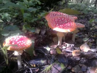 2012-09-05-075.webp