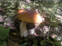 2012-09-05-077.webp
