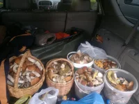 2012-09-05-078.webp