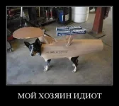 getImage (3).webp