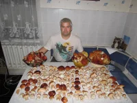 Я и грибы.webp