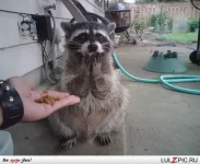 s3img_12398122_63095_0.webp