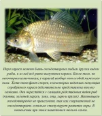 1347284139_fakt_15.webp