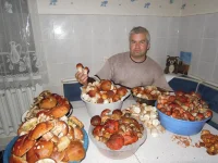 Я и грибы.webp