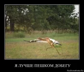1347276037_1hgo4cjhqd93.webp