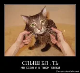 3087262.webp