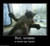 a93faf08a2d186bf33ac6ce933e_prev.webp