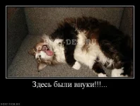 Здесь-были-внуки....webp