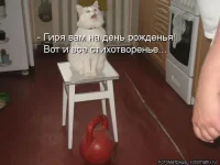 kotomatrix_02.webp