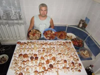 211619892.webp