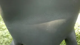 2012-09-15-088.webp