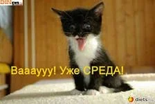 s3img_12398122_64318_34.webp
